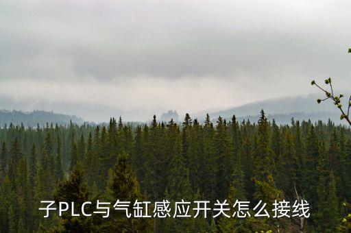 電氣自動(dòng)化氣缸回路,氣缸氣動(dòng)回路圖