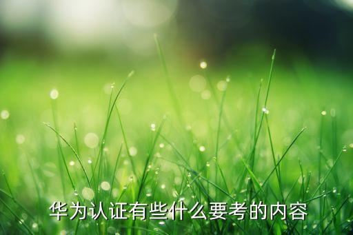  華為認(rèn)證有些什么要考的內(nèi)容