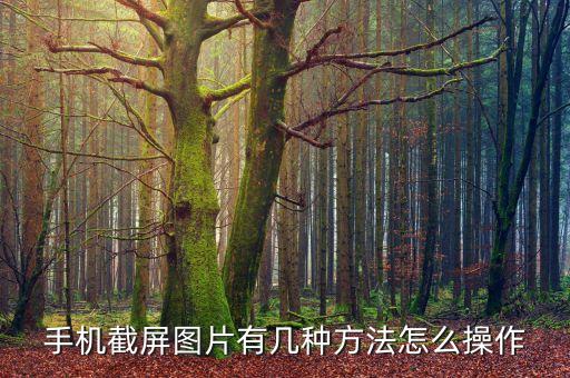 手機(jī)圖片,手機(jī)如何截屏保存照片?