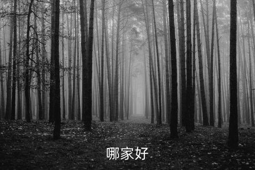 福建自動(dòng)化止回閥公司,止回閥是自動(dòng)閥嗎?
