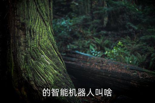 的智能機(jī)器人叫啥