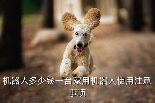 樂迪陪伴機(jī)器人價格,貝卡·樂迪機(jī)器人