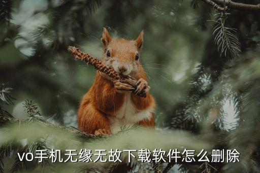 vo手機(jī)無(wú)緣無(wú)故下載軟件怎么刪除