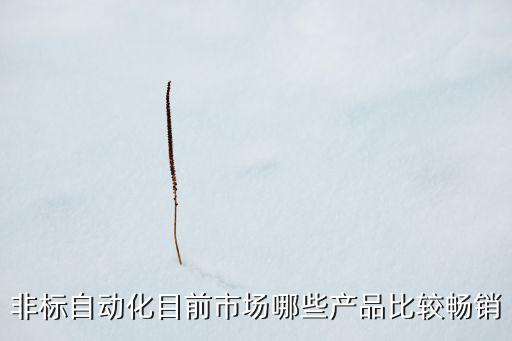 非標(biāo)自動化目前市場哪些產(chǎn)品比較暢銷