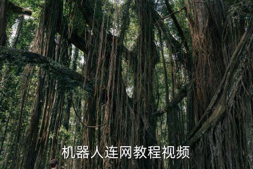 機(jī)器人連網(wǎng)教程視頻