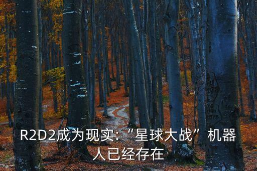 R2D2成為現(xiàn)實:“星球大戰(zhàn)”機器人已經(jīng)存在