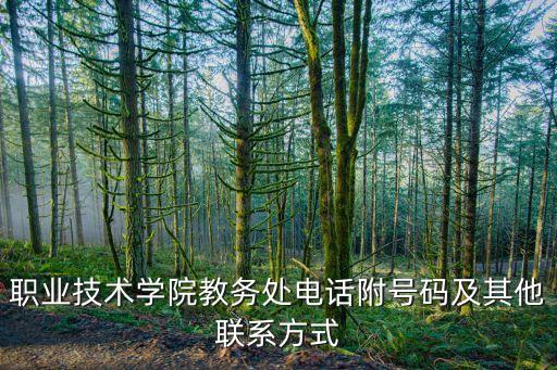 職業(yè)技術學院教務處電話附號碼及其他聯(lián)系方式