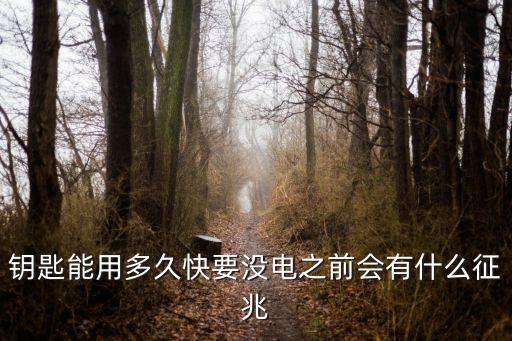 遙控鑰匙,有沒有萬能的車鑰匙遙控器?