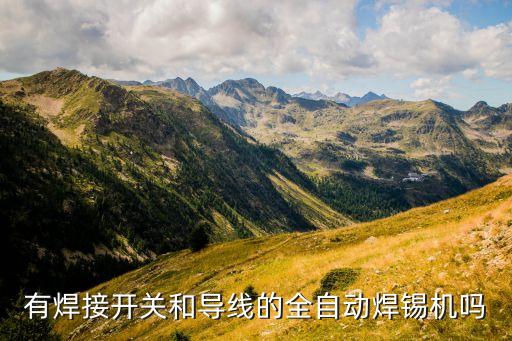 有焊接開(kāi)關(guān)和導(dǎo)線(xiàn)的全自動(dòng)焊錫機(jī)嗎