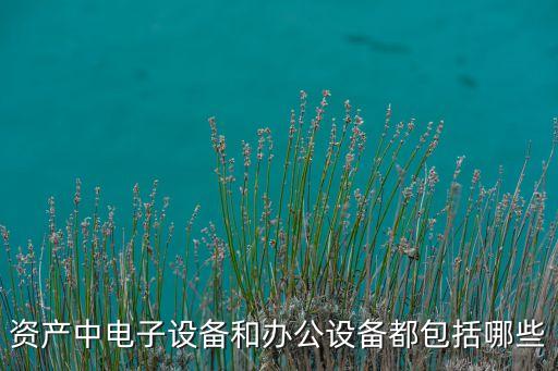 資產(chǎn)中電子設(shè)備和辦公設(shè)備都包括哪些
