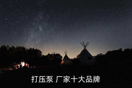 打壓泵 廠家十大品牌