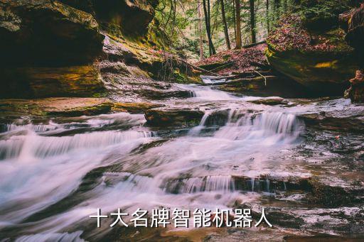 十大名牌智能機(jī)器人