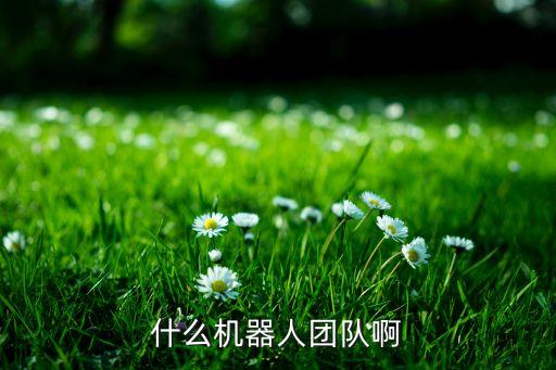 清華robocup機(jī)器人隊(duì),robocup機(jī)器人大賽