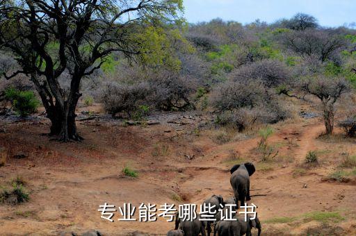 專業(yè)自動化證書有哪些,自動化專業(yè)有哪些證書?