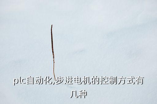plc自動(dòng)化,步進(jìn)電機(jī)的控制方式有幾種