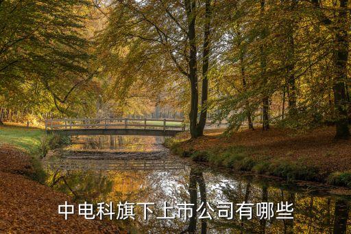 中電科旗下上市公司有哪些