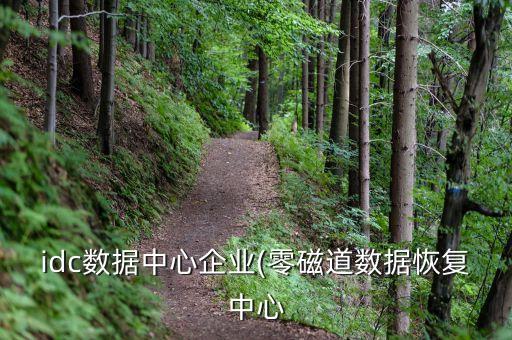 idc數(shù)據(jù)中心企業(yè)(零磁道數(shù)據(jù)恢復(fù)中心