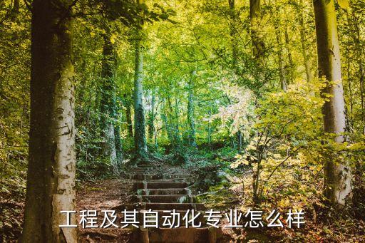 西電自動化公司怎么樣,Xi安西電公司怎么樣?