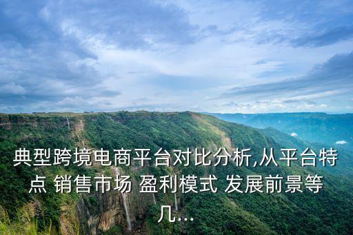 典型跨境電商平臺(tái)對(duì)比分析,從平臺(tái)特點(diǎn) 銷售市場(chǎng) 盈利模式 發(fā)展前景等幾...