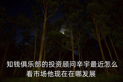  知錢俱樂部的投資顧問辛宇最近怎么看市場他現(xiàn)在在哪發(fā)展