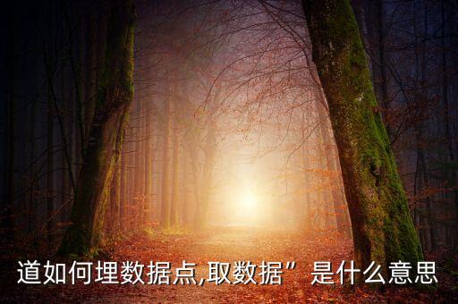 道如何埋數(shù)據(jù)點(diǎn),取數(shù)據(jù)”是什么意思