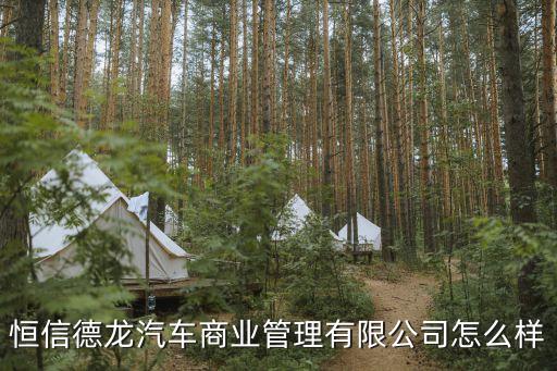恒信德龍汽車商業(yè)管理有限公司怎么樣