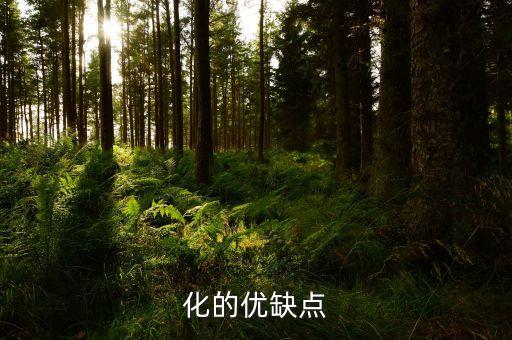 化的優(yōu)缺點(diǎn)