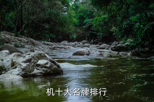 機(jī)十大名牌排行