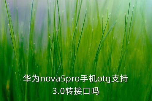 華為nova5pro手機(jī)otg支持3.0轉(zhuǎn)接口嗎