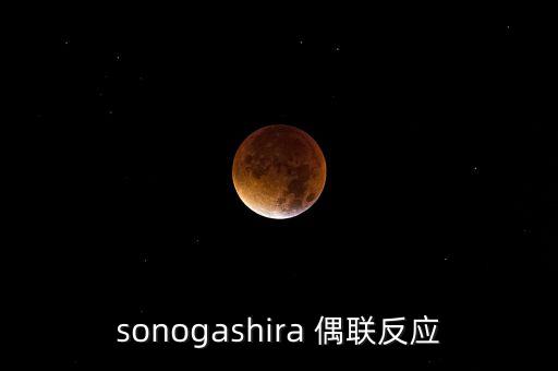 sonogashira 偶聯(lián)反應(yīng)