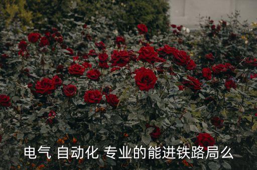 自動化專業(yè)能去中車嗎