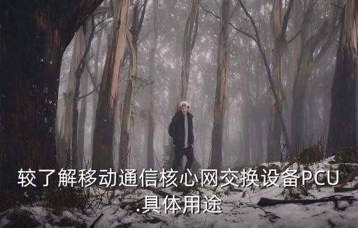 較了解移動通信核心網(wǎng)交換設(shè)備PCU.具體用途
