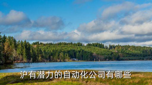 滬有潛力的自動(dòng)化公司有哪些