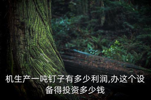 機生產(chǎn)一噸釘子有多少利潤,辦這個設備得投資多少錢