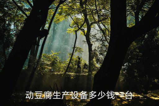 動(dòng)豆腐生產(chǎn)設(shè)備多少錢一臺(tái)