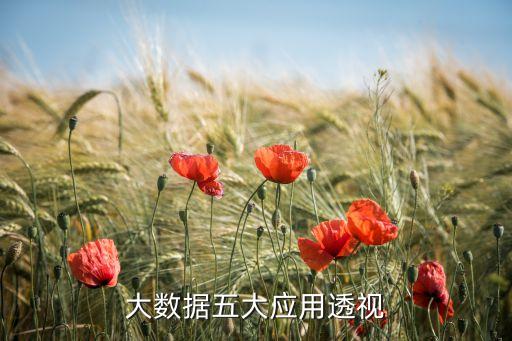 醫(yī)療領(lǐng)域大數(shù)據(jù)來源,大數(shù)據(jù)給醫(yī)療領(lǐng)域帶來的改變
