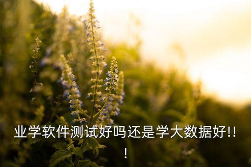 大數(shù)據(jù)測(cè)試,軟件大數(shù)據(jù)測(cè)試