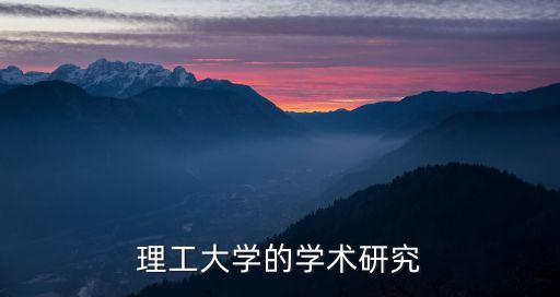 理工大學(xué)的學(xué)術(shù)研究