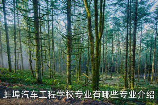 蚌埠自動化設備制造,非標自動化設備有哪些?