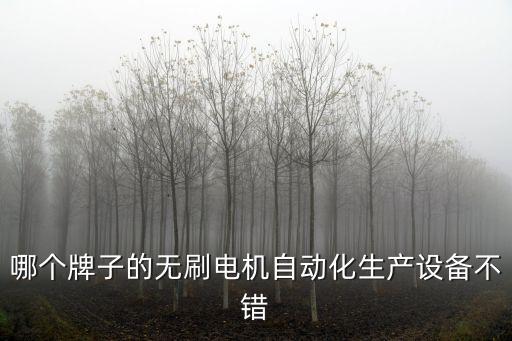 安徽自動(dòng)化設(shè)備品牌有哪些,工業(yè)電腦品牌有哪些?