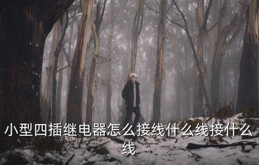 小型四插繼電器怎么接線什么線接什么線