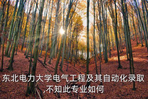 東北電力大學(xué)電氣工程及其自動(dòng)化錄取,不知此專業(yè)如何