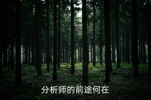 分析師的前途何在