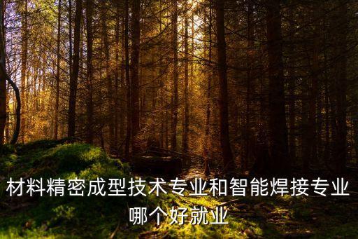 焊接自動化哪個專業(yè)好,智能焊接技術(shù)有什么特長?