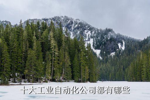 應(yīng)縣自動(dòng)化公司有哪些企業(yè),昆山自動(dòng)化設(shè)備公司有哪些?