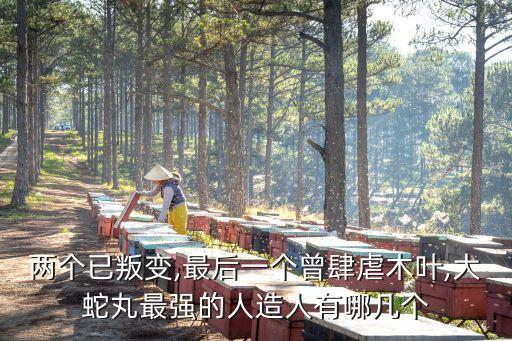 大和機(jī)器人,超級(jí)機(jī)器人大戰(zhàn)哪一部分登場(chǎng)?答案出爐