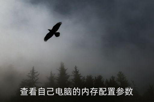 查看自己電腦的內(nèi)存配置參數(shù)