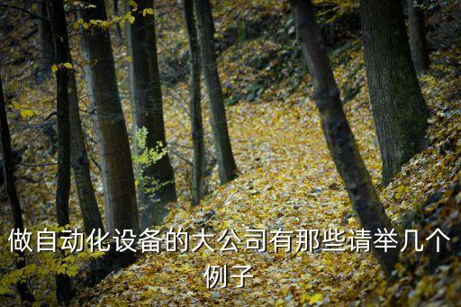 做自動(dòng)化設(shè)備的大公司有那些請(qǐng)舉幾個(gè)例子