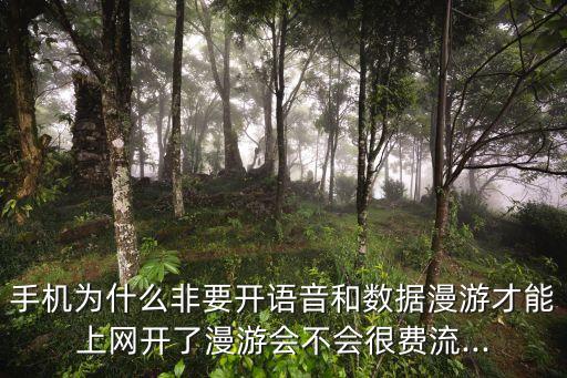 手機(jī)為什么非要開語(yǔ)音和數(shù)據(jù)漫游才能上網(wǎng)開了漫游會(huì)不會(huì)很費(fèi)流...