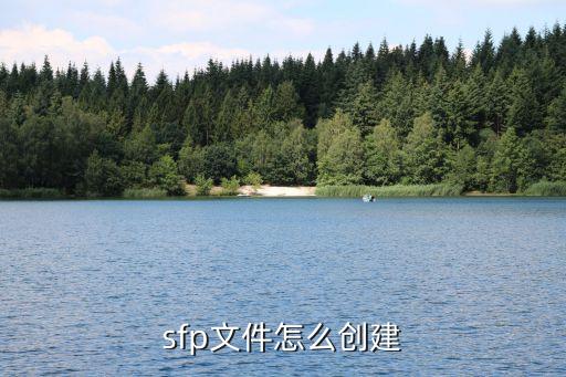 sfp燒錄自動化設(shè)備,什么是自動化系統(tǒng)中大型成套設(shè)備?
